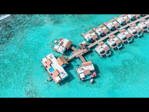 Videos del Emerald Maldives Resort  Spa 5★ en Raa Atoll, MaldivasVer MásVerPrecios19CerrarConsulta por Whatsapp 🇦🇷BookingTripadvisorExpediaAgodaTravelocityOrbitzTripSkyscannerDespegarKayakHotelesBestdayDestiniaTrivagoTurismocityLastminuteHotwireTuiWotif