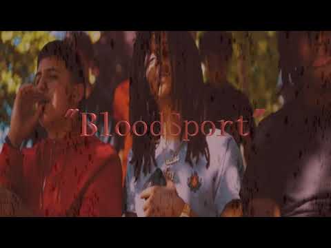 [FREE] Boe Sosa X BabyFace Gunna -Type Beat ''BloodSport''