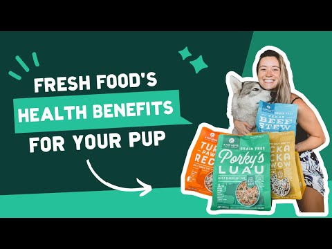 Health Benefits of Fresh Food For Your Pup