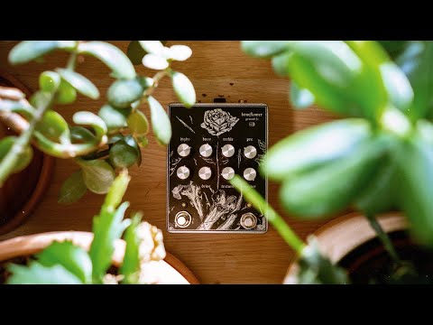 Ground FX Boneflower: Shape your Drive!