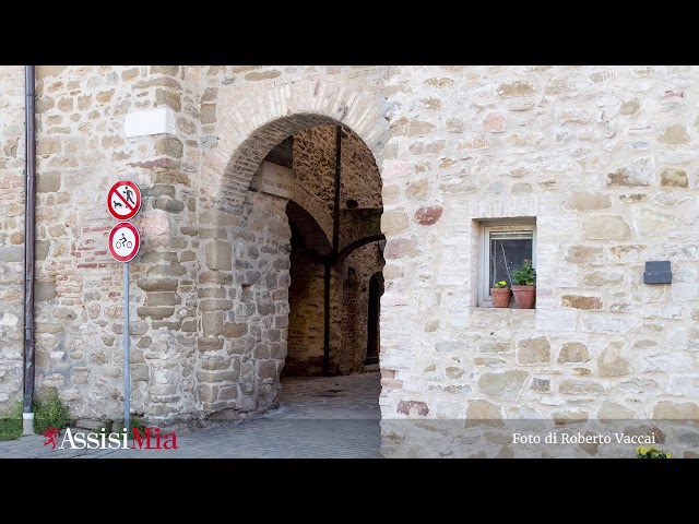 La Pianura di Assisi