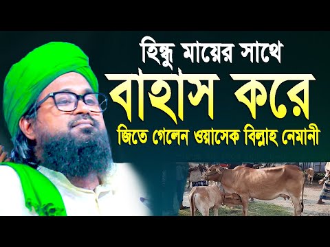 হিন্দু মায়ের সাথে বাহাস করে জিতে গেলেন ওয়াসেক বিল্লাহ নোমান?