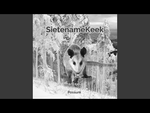 Possum