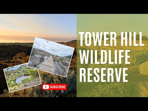 Exploring Tower Hill Wildlife Reserve | Victoria’s Hidden Volcanic Paradise