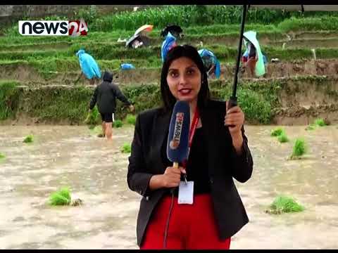 किसानको प्रश्नः ‘सरकार ढाँटिरहने, हामी मरिरहने ?’ | NEWS24 TV