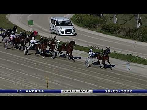 Aversa trotto 29 Gennaio 2022 - 1° Corsa