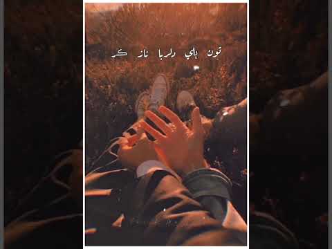 Toon Bhali Dilruba Naaz Ker | Slow & Reverb | Zamin Ali | Sindhi Song | Aesthetic Video