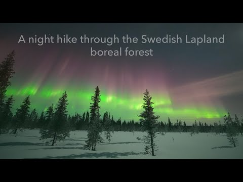 A night hike through the Swedish Lapland boreal forest - GEOMAGNETIC STORM March 13th 2022 - 4K