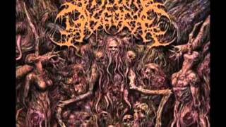 Visceral Disgorge - Colostomy Bag Asphyxiation (Lyrics)