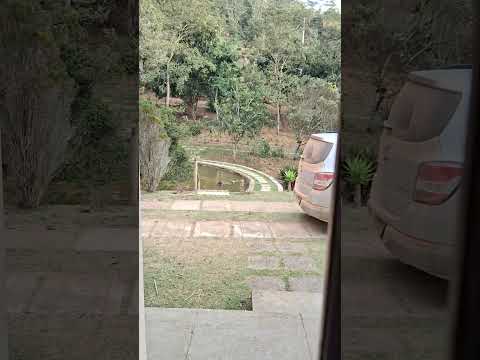 Bastidores do estúdio de cinema da natureza — Vem Pra Mata, Santa Teresa ES