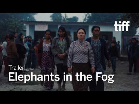 Elephants in the Fog trailer thumbnail