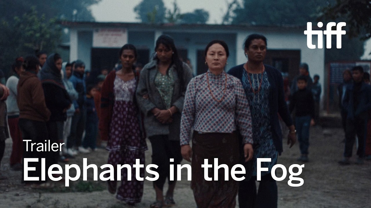 Miniature de la vidéo ELEPHANTS IN THE FOG Trailer | TIFF 2026 du film Les Éléphants dans la brume