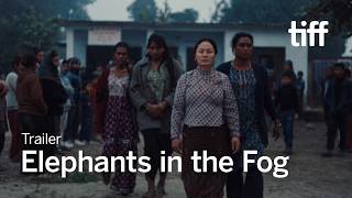 ELEPHANTS IN THE FOG Trailer | TIFF 2026