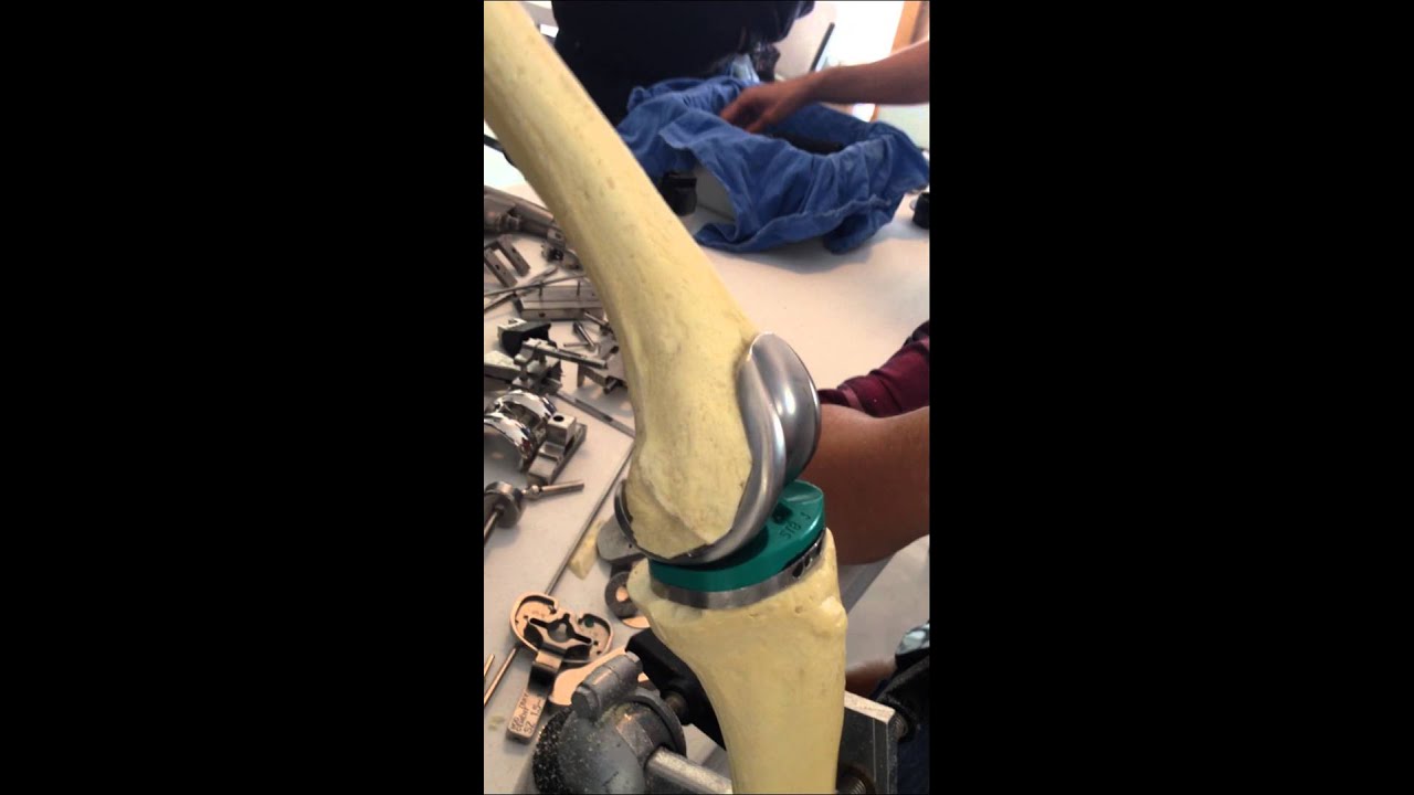 José Antonio Guerrero Jimenez-27