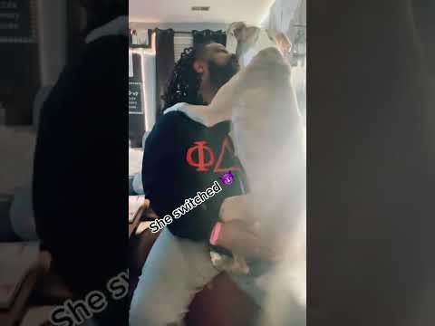 When You Steal Your Dog's Girlfriend #Shorts