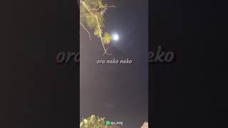 Download lagu Story WA 'Demi Kowe' Dory Harsa mp3