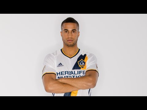 LA Galaxy sign defender Pele van Anholt