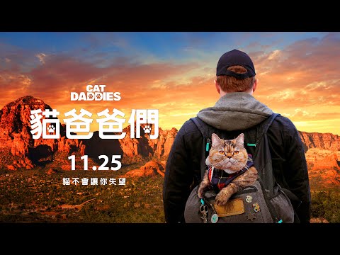 貓貓橫掃各大影展觀眾票選獎【貓爸爸們】正式預告｜11/25貓不會讓你失望
