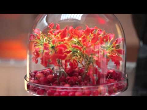 Julstjärna - julstjärnor och inspiration vad du kan göra med dessa härliga julblommor!