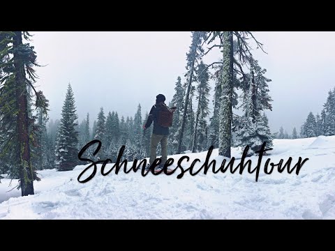 Schneeschuhwanderung Berner Oberland