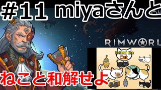 ネコと和解せよ #11【RimWorld】
