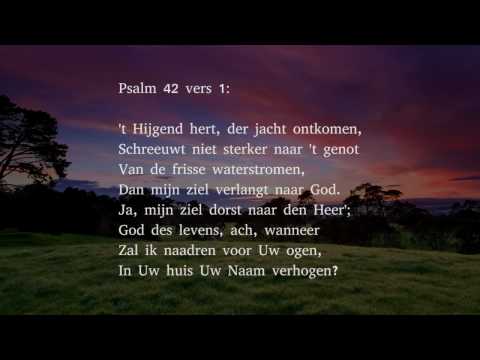 Psalm 42 vers 1, 3 en 5 - 't Hijgend hert, der jacht ontkomen