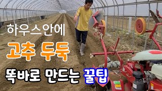 하우스안 고추 두둑은 이렇게 만들어야 관리기 두둑 똑바로 만드는 꿀팁