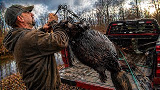 Spring Beaver Trapping (Giant Beaver)