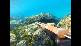 preview picture of video 'Pesca Submarina Calpe, Sepias'