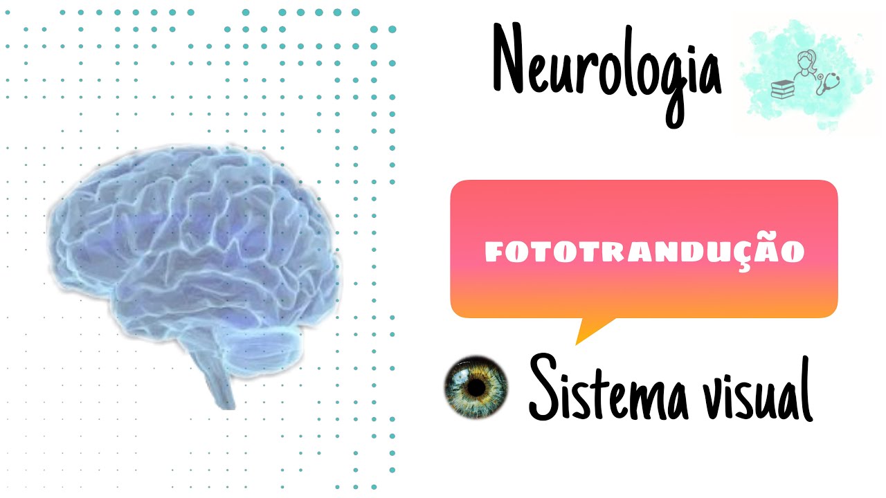 Neurologia- Sistema visual- Fototransdução