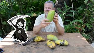Miniatura do vídeo
