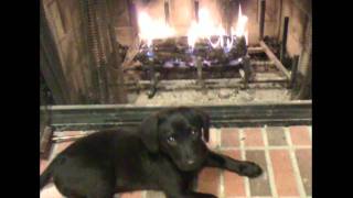 The Good Life - Railroad Earth