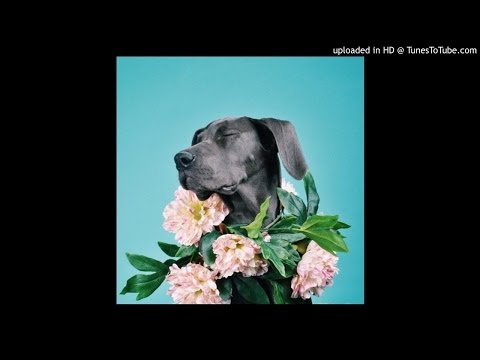 Jakub Lemiszewski - LOFTINESS