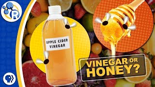 How Do You Catch Fruit Flies?