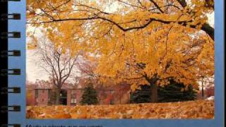 Todo cambia - Mercedes Sosa