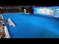 FCI Dog dance World Championship 2016