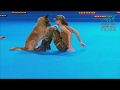 FCI Dog Dance World Championship 2016 Freestyle Final Lusy Imbergerova And Deril Italy