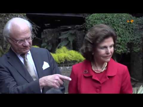 Kungen ser en törstig katt och avbryter intervjun