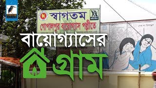 বায়োগ্যাস পল্লী গোপালপুর নিয়ে মাছরাঙ্গা টিভির রিপোর্ট