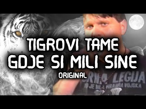 TIGROVI TAME - GDJE SI MILI SINE [ORIGINAL SPOT HVO 106/HVO 104]