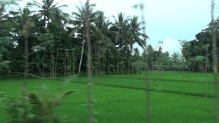 preview picture of video 'Lombok, Indonesia - A drive through the countryside HD (2012)'