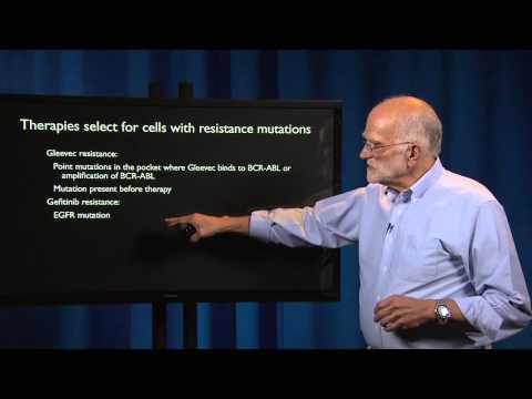 Cancer: Adaptive Chemotherapy