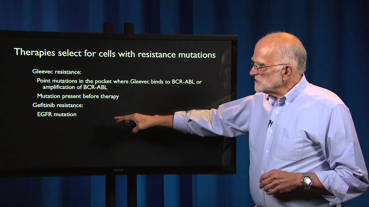 Cancer: Adaptive Chemotherapy