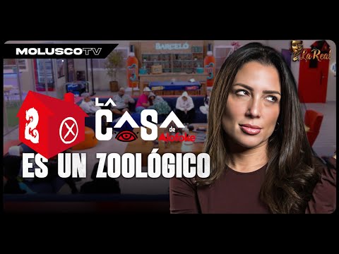 “La casa de Alofoke es un zoológico” Alexandra Lugaro opina/ caso Atleta de 9 años y Gabriela Nicole