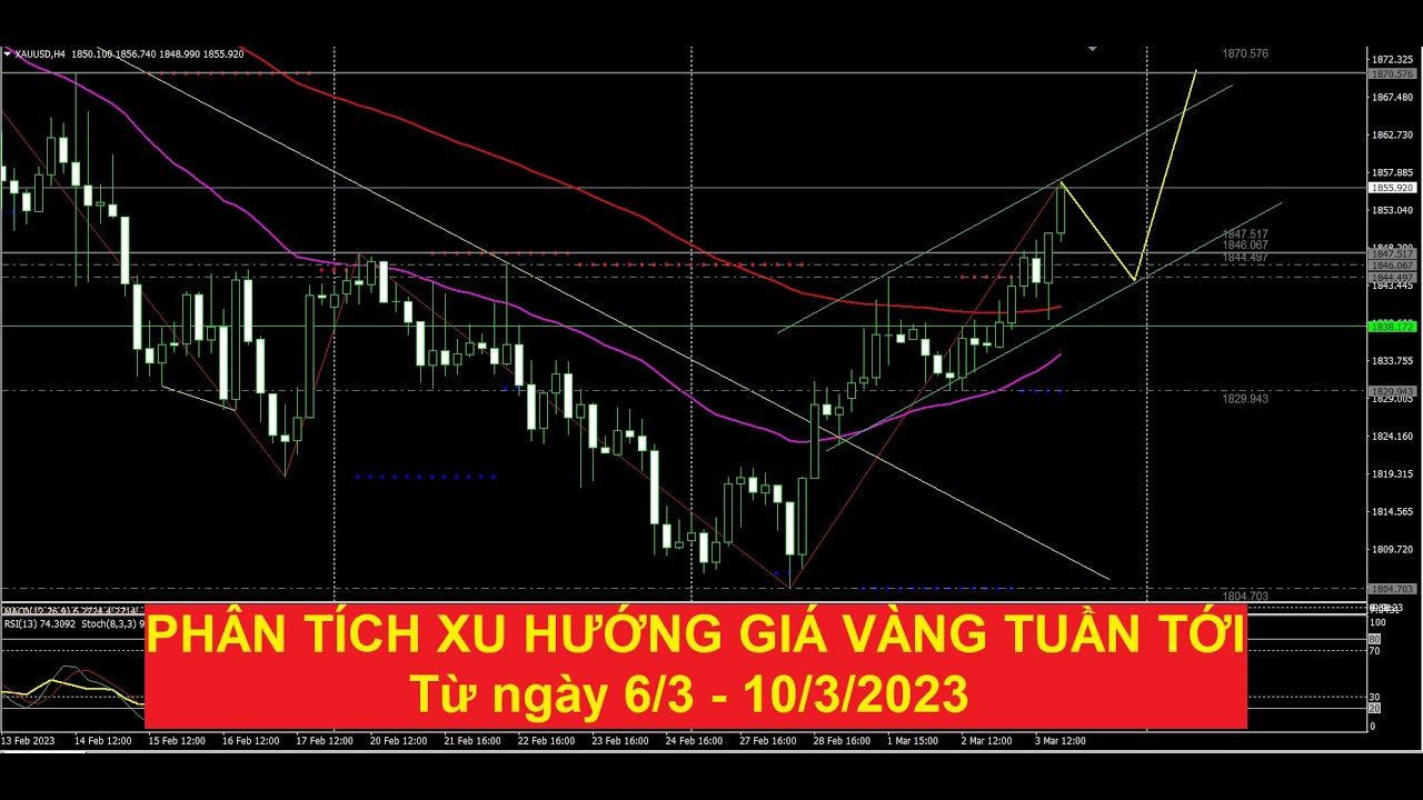 Video phân tích xu hướng giá vàng tuần tới từ ngày 6.3 - 10.3.2023 by Auragold
