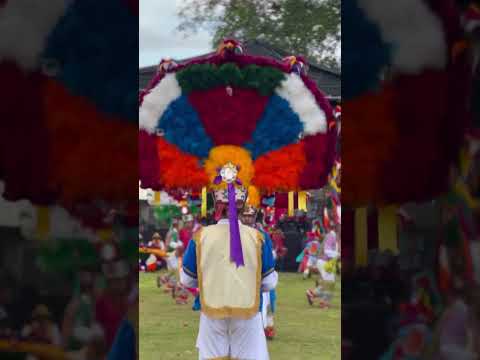 Danza de la Pluma - Cuilapam de Guerrero, Oaxaca