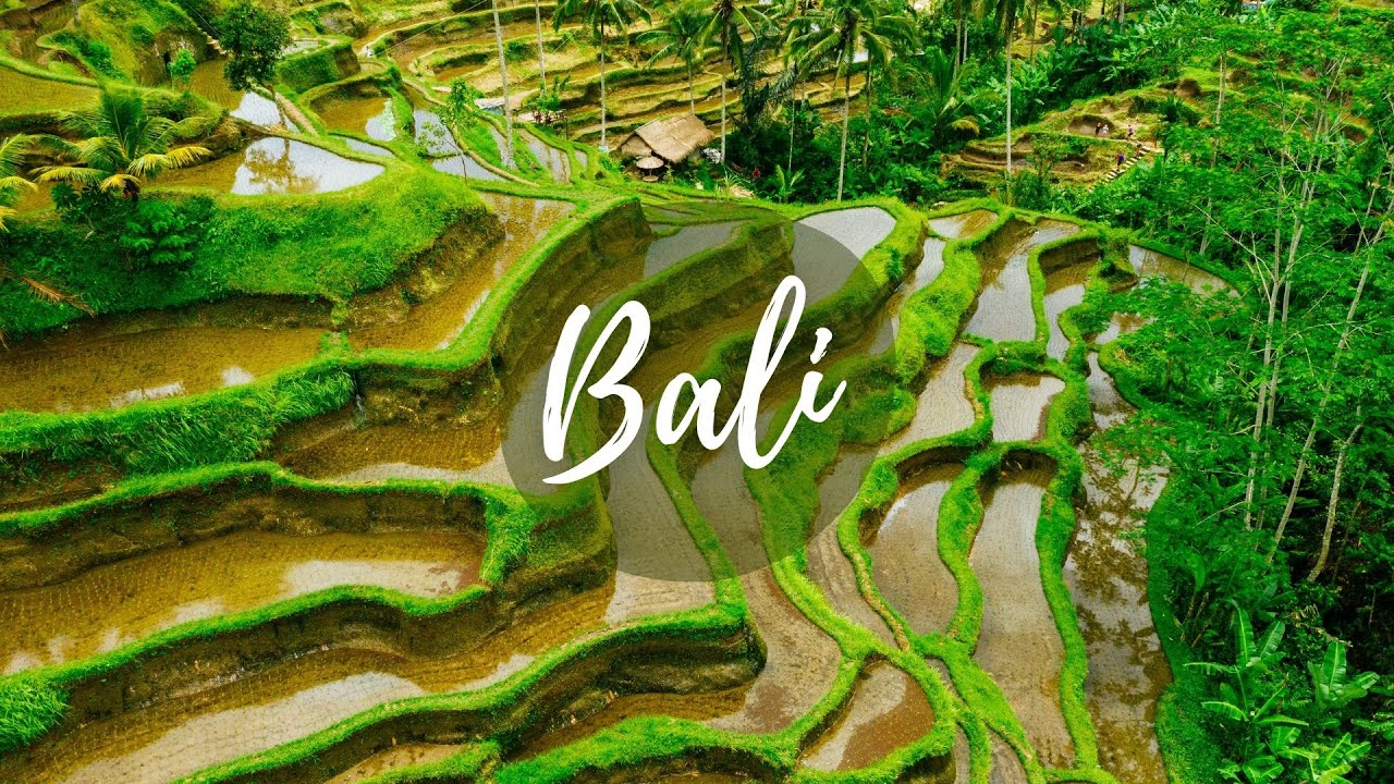 Uncover the cinematic highlights of Tegalalang Rice Terraces.