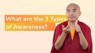 What Are the 3 Types of Awareness? with Yongey Mingyur Rinpoche
