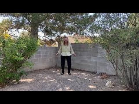 T'ai Chi Chih® - Full Practice (mirrored) - Accompanied by Justin Stone's original Music for TCC!