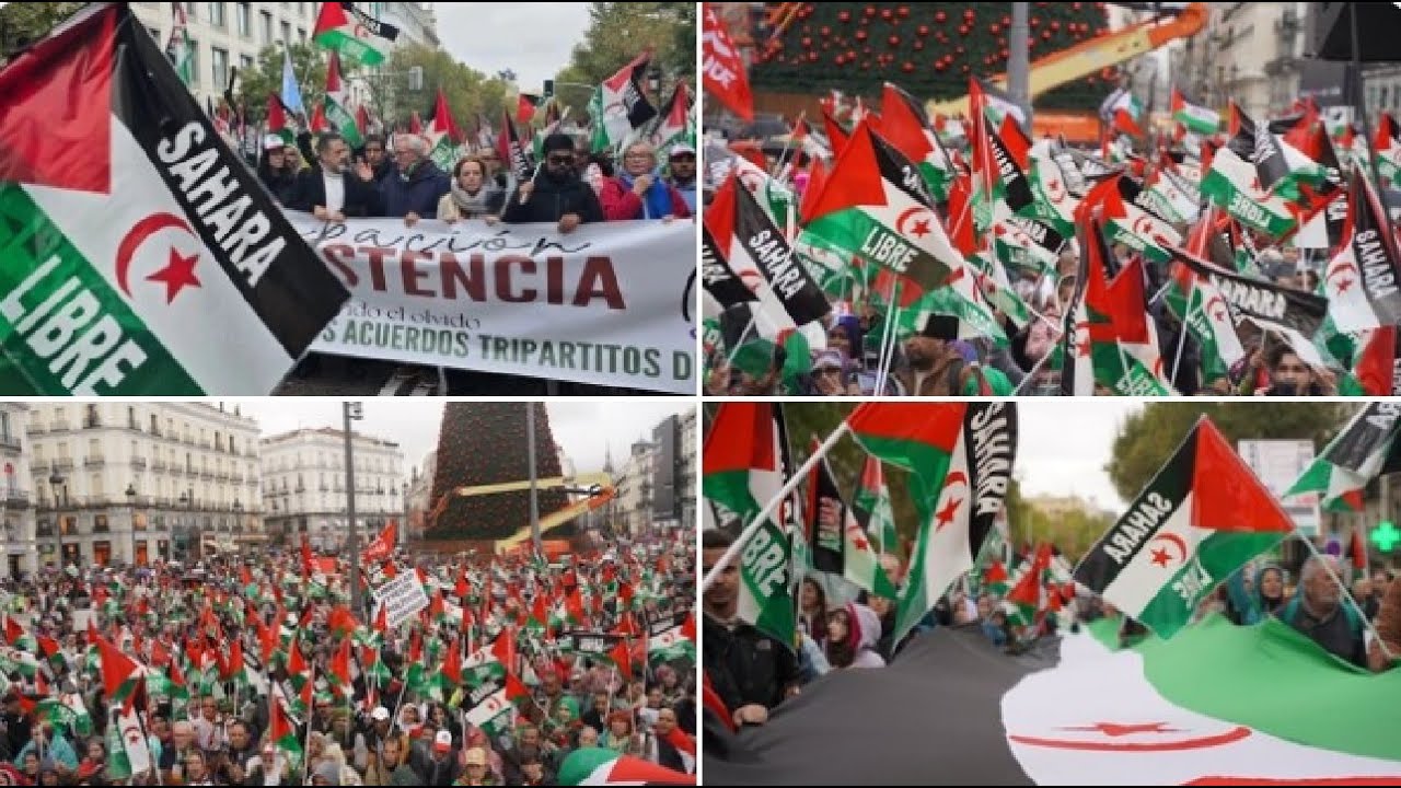 🔴 بث مباشر 🔴حرية واستقلال 👍🇪🇭 تقرير المصير والاستقلال✌️💓👍 #الصحراء_?